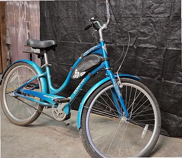 Riding Bag Included Cruiser